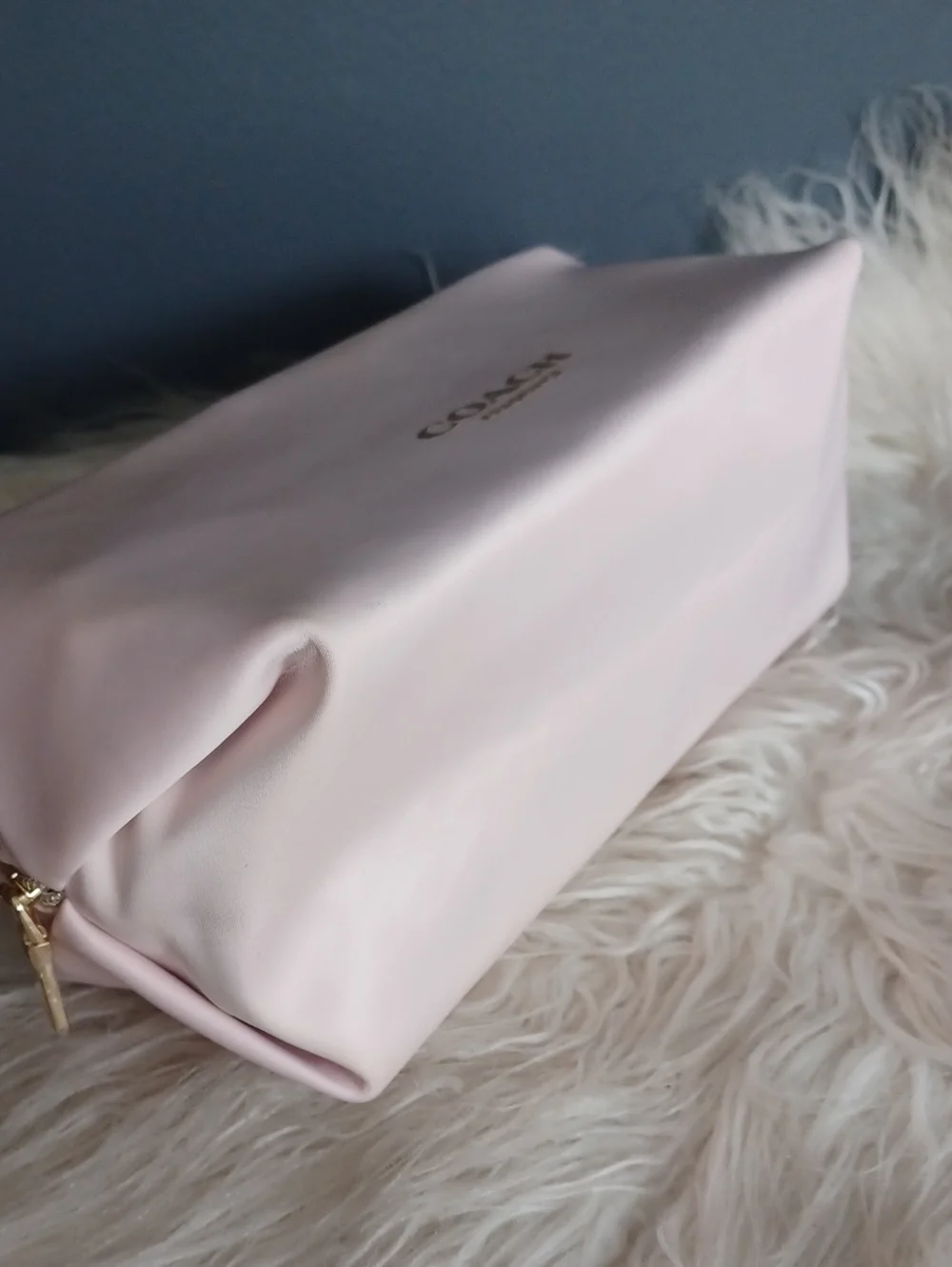 Coach Cosmetic Bag